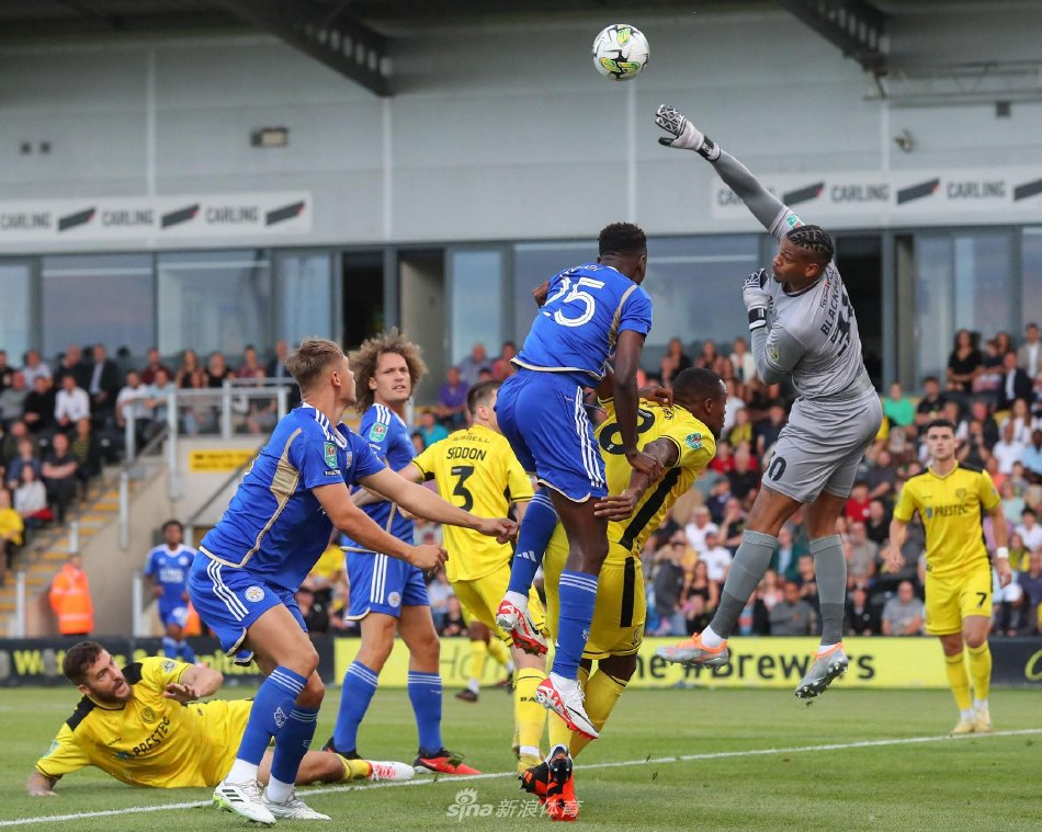 我们将剖析 我们将剖析